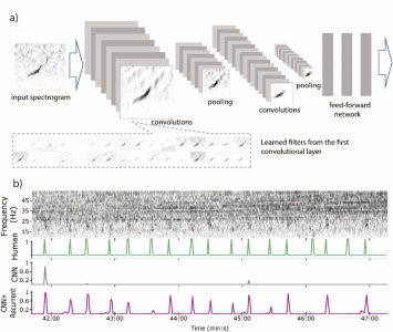Diagram showing the steps of the algorithm and the call identified from the spectrogram by different versions of the algorithm